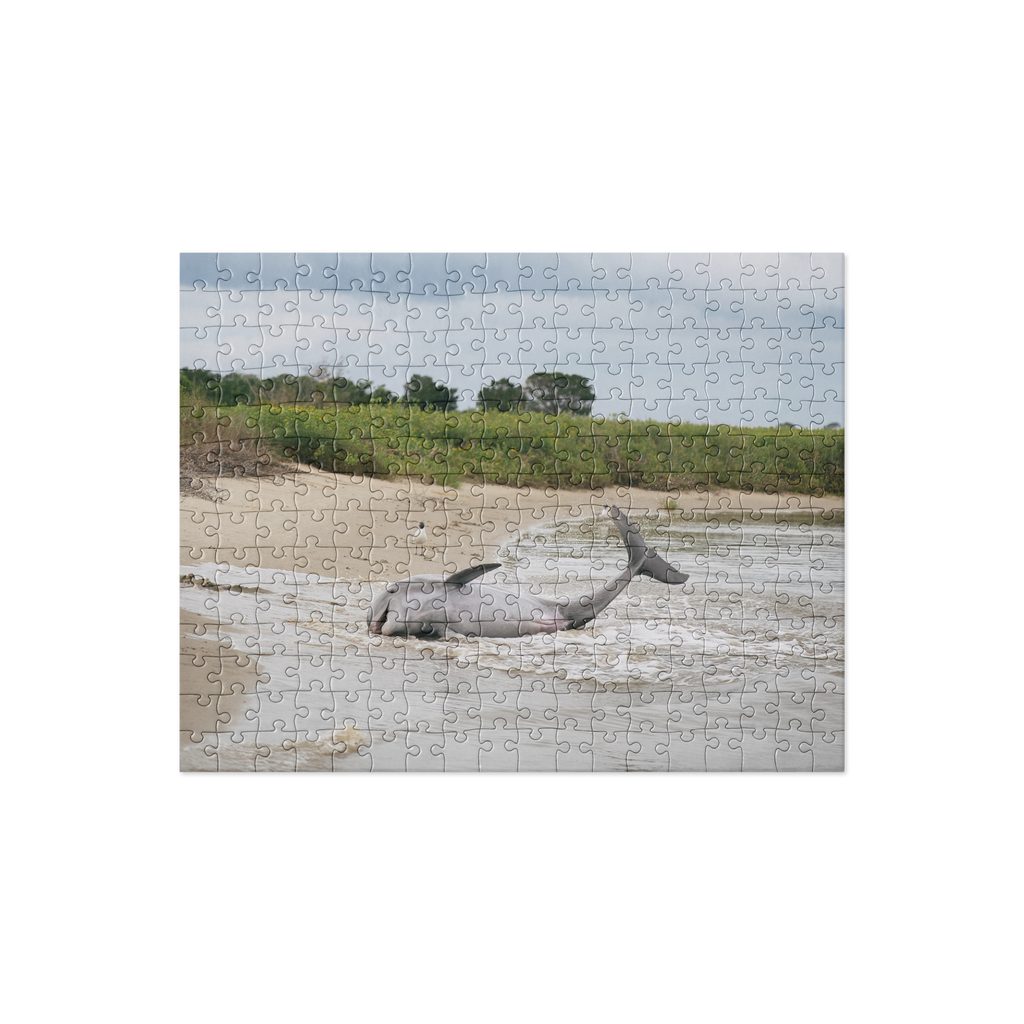 Dolphin Strand Feeding Puzzle