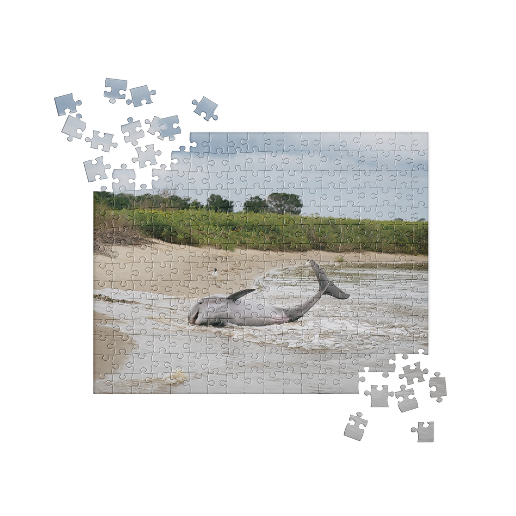 Dolphin Strand Feeding Puzzle